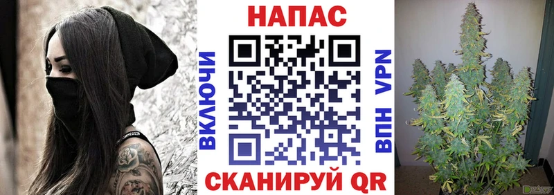 Каннабис семена  Купить где  Опочка 